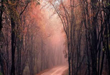 神思電子：中標可信數(shù)據(jù)空間建設(shè)項目:建設(shè)項目
