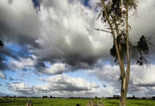 中電港中標(biāo)：中國(guó)電子(松桃)科技創(chuàng)新實(shí)驗(yàn)室建設(shè)項(xiàng)目中標(biāo)（成交）公告:建設(shè)項(xiàng)目
