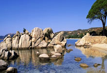 黃茅峽水庫建設(shè)座談會召開，三方合力加快推進工程建設(shè):建設(shè)工程
